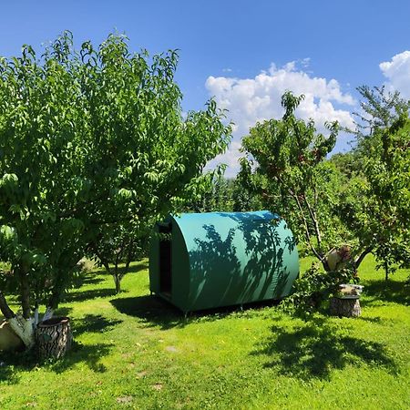 Nataly Campsite Yeghegnadzor Exteriör bild